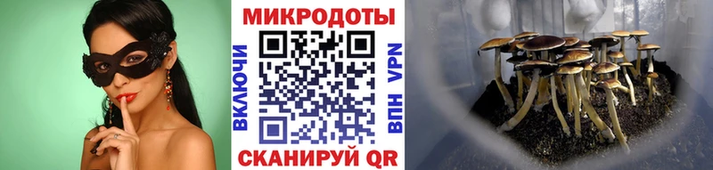 гидра tor  Ханты-Мансийск  Галлюциногенные грибы мухоморы 