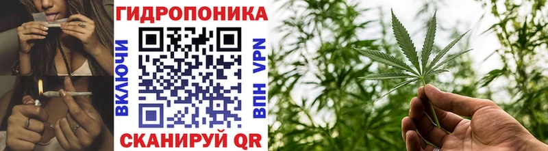 закладка  Ханты-Мансийск  omg маркетплейс  Канабис ГИДРОПОН 